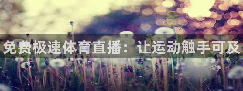 搜球吧8直播免费观看