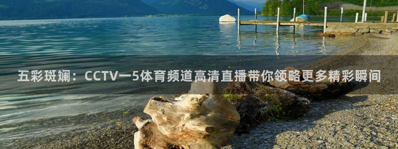 搜球吧体育直播