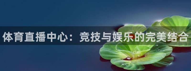 nba直播搜球吧：体育直播中心：竞技与娱乐的完美结合