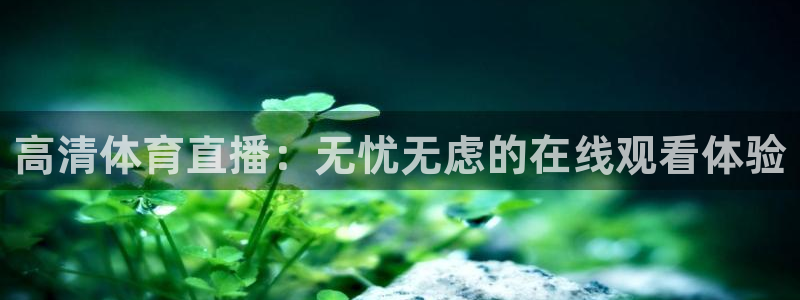 搜球体育官网：高清体育直播：无忧无虑的在线观看体验