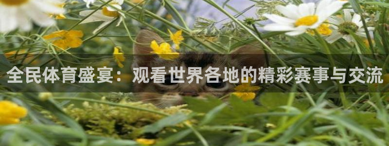 搜球吧直播nba中文直播：全民体育盛宴：观看世界各地的精彩赛事与交流