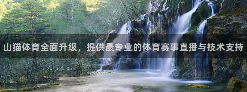 搜球吧在线直播nba：山猫体育全面升级，提供最专业的体育赛事直播与技术支持