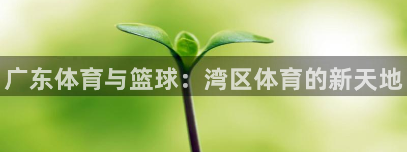 搜球直播吧：广东体育与篮球：湾区体育的新天地