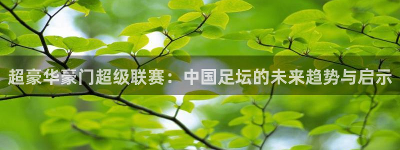 搜球吧直播网