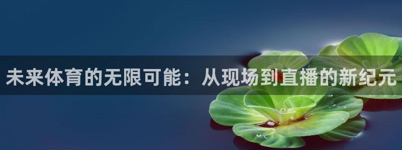 搜球吧直播nba直播