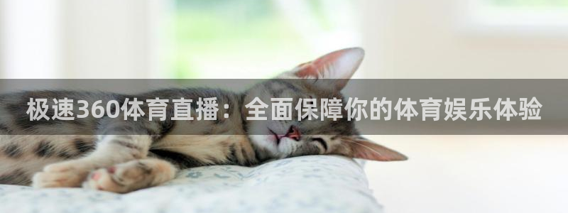 搜球吧在线直播免费观看