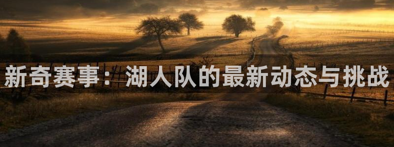 搜球体育直播app：新奇赛事：湖人队的最新动态与挑战